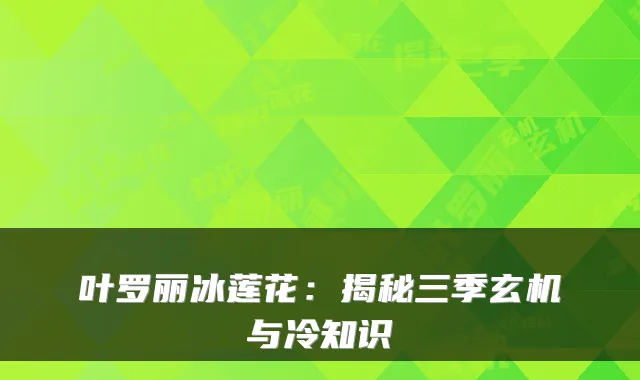 叶罗丽冰莲花：揭秘三季玄机与冷知识