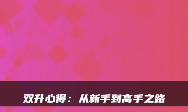 双升心得：从新手到高手之路