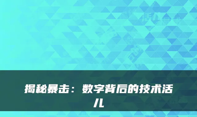 揭秘暴击：数字背后的技术活儿