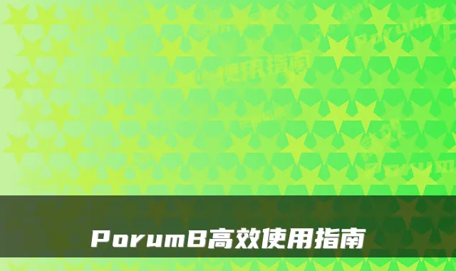 PorumB高效使用指南