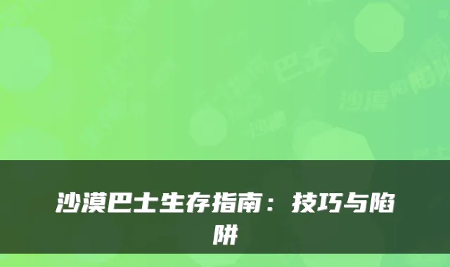 沙漠巴士生存指南：技巧与陷阱