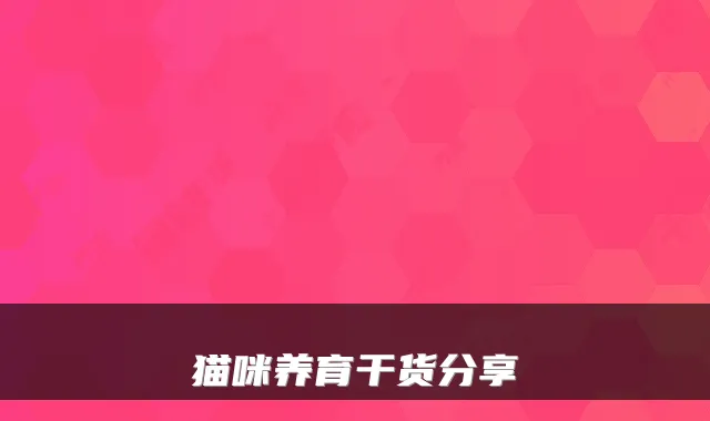 猫咪养育干货分享