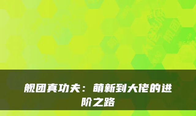 舰团真功夫：萌新到大佬的进阶之路