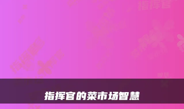 指挥官的菜市场智慧
