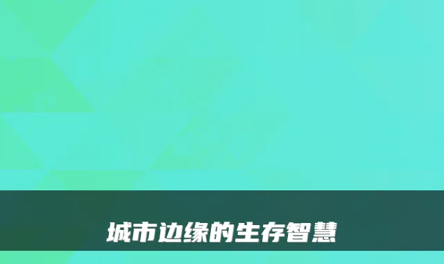 城市边缘的生存智慧