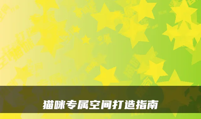 猫咪专属空间打造指南