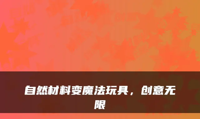 自然材料变魔法玩具，创意无限
