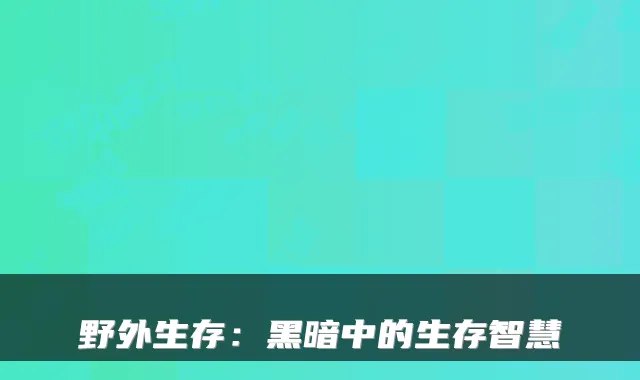 野外生存:黑暗中的生存智慧