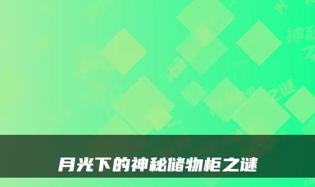 月光下的神秘储物柜之谜