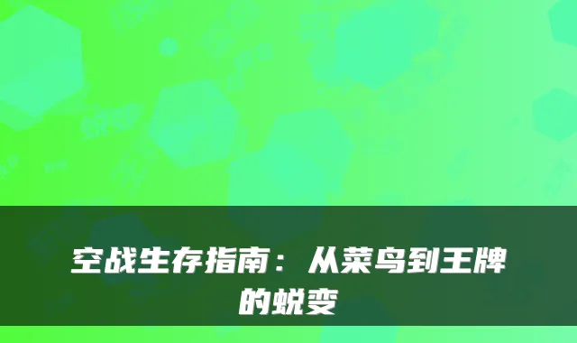 空战生存指南:从菜鸟到王牌的蜕变