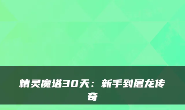 精灵魔塔30天:新手到屠龙传奇