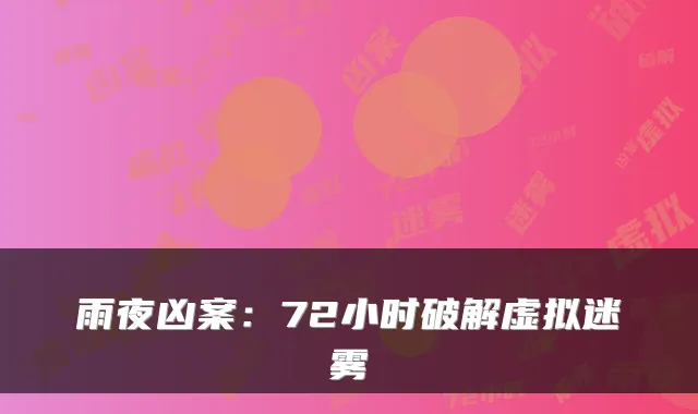 雨夜凶案:72小时破解虚拟迷雾
