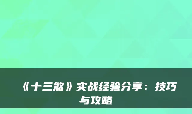 《十三煞》实战经验分享：技巧与攻略