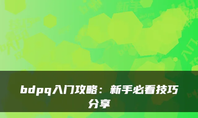 bdpq入门攻略：新手必看技巧分享