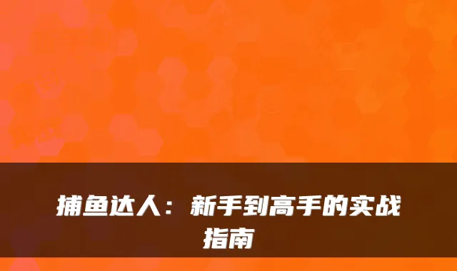 捕鱼达人：新手到高手的实战指南
