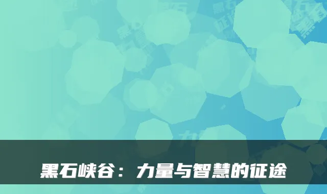 黑石峡谷：力量与智慧的征途
