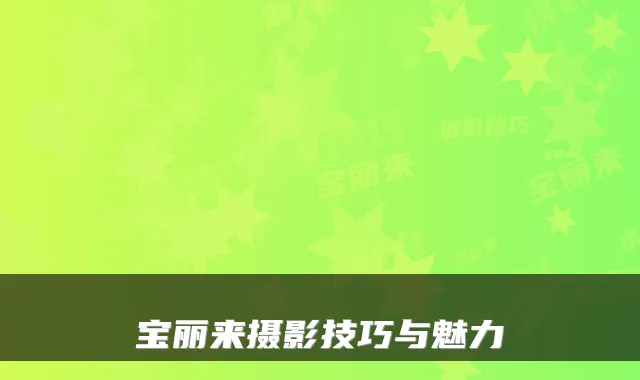 宝丽来摄影技巧与魅力