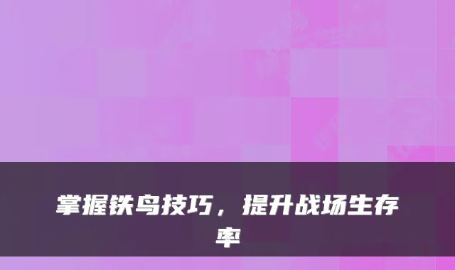 掌握铁鸟技巧,提升战场生存率