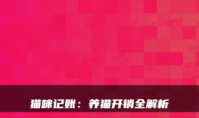 猫咪记账:养猫开销全解析