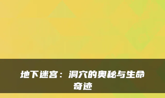 地下迷宫：洞穴的奥秘与生命奇迹