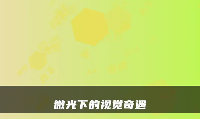 微光下的视觉奇遇