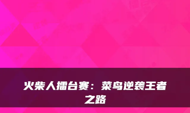 火柴人擂台赛：菜鸟逆袭王者之路