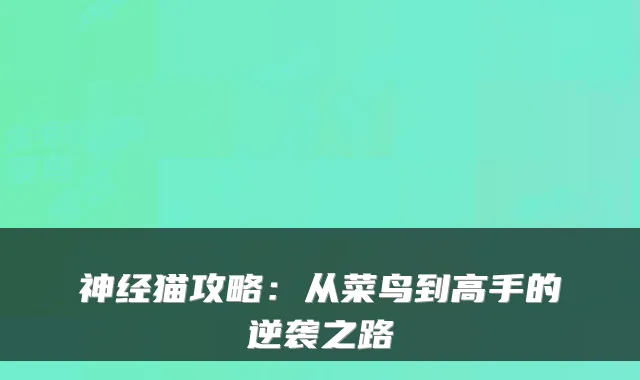 神经猫攻略：从菜鸟到高手的逆袭之路