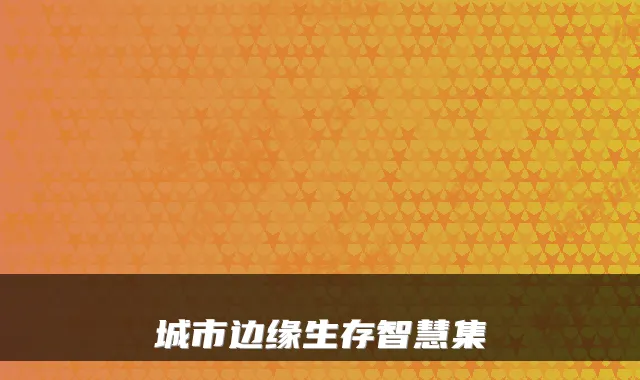 城市边缘生存智慧集