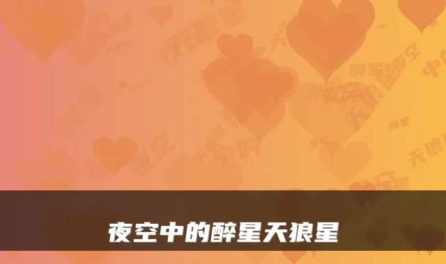 夜空中的醉星天狼星