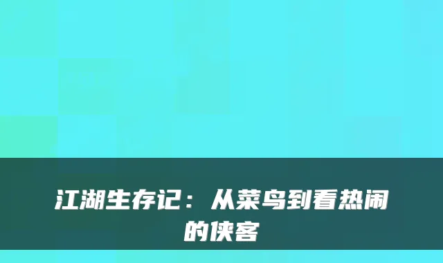 江湖生存记：从菜鸟到看热闹的侠客