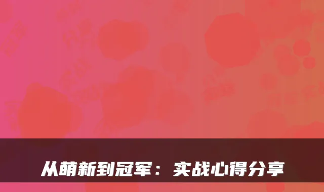 从萌新到冠军：实战心得分享