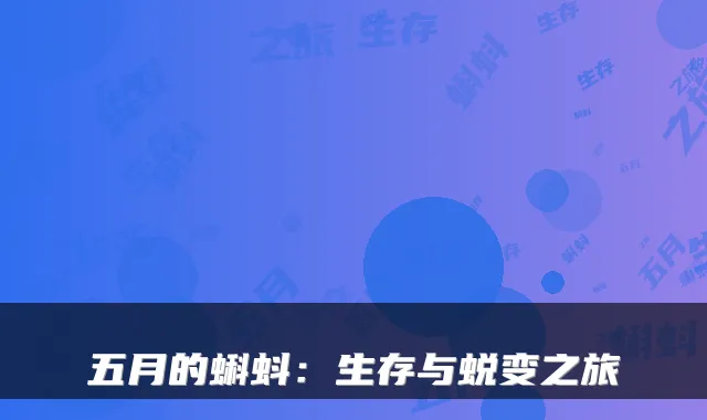 五月的蝌蚪：生存与蜕变之旅