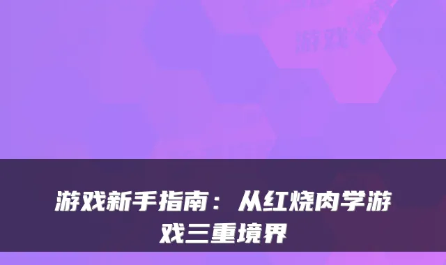 游戏新手指南:从红烧肉学游戏三重境界