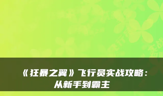 《狂暴之翼》飞行员实战攻略:从新手到霸主