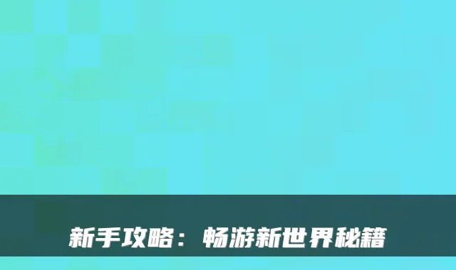 新手攻略：畅游新世界秘籍
