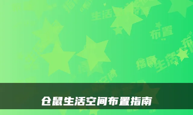 仓鼠生活空间布置指南