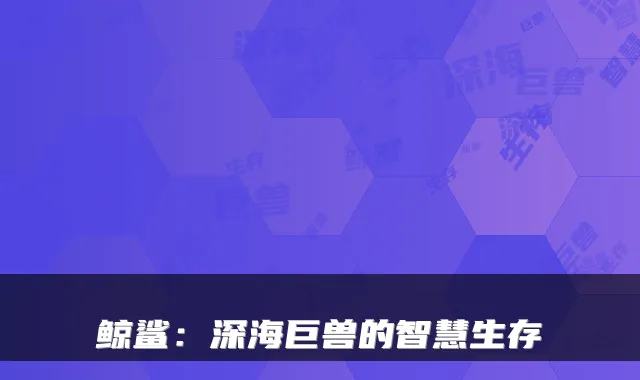 鲸鲨：深海巨兽的智慧生存