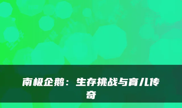 南极企鹅：生存挑战与育儿传奇