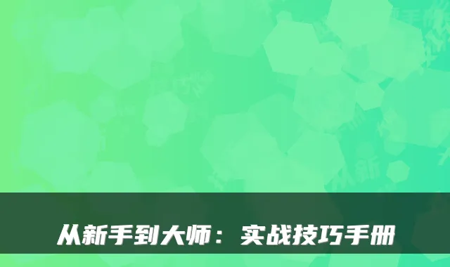从新手到大师:实战技巧手册