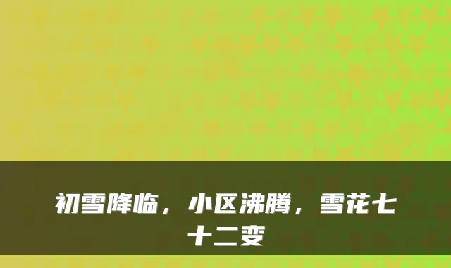 初雪降临，小区沸腾，雪花七十二变