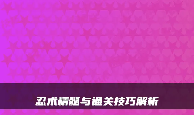 忍术精髓与通关技巧解析
