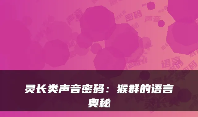 灵长类声音密码：猴群的语言奥秘