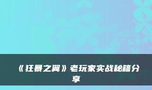 《狂暴之翼》老玩家实战秘籍分享