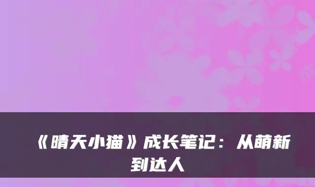 《晴天小猫》成长笔记：从萌新到达人