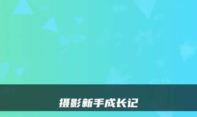摄影新手成长记