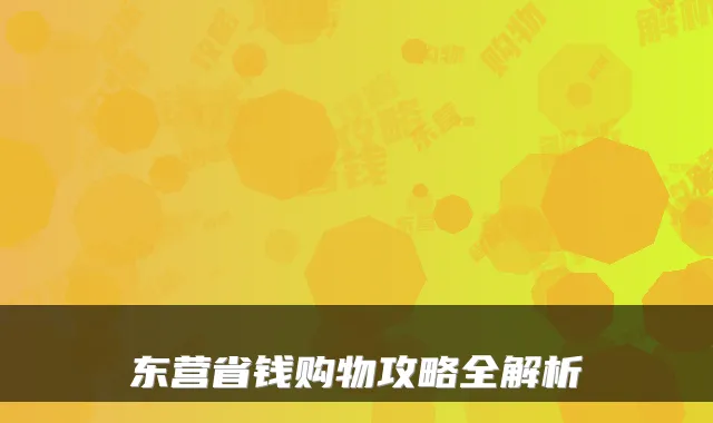 东营省钱购物攻略全解析