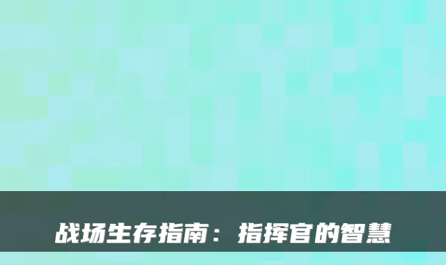 战场生存指南：指挥官的智慧