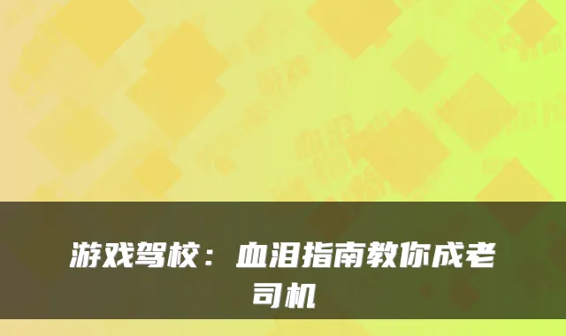 游戏驾校：血泪指南教你成老司机