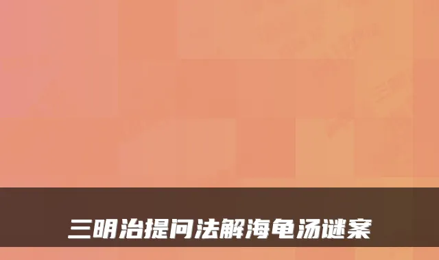 三明治提问法解海龟汤谜案