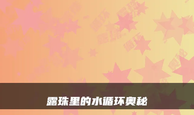 露珠里的水循环奥秘